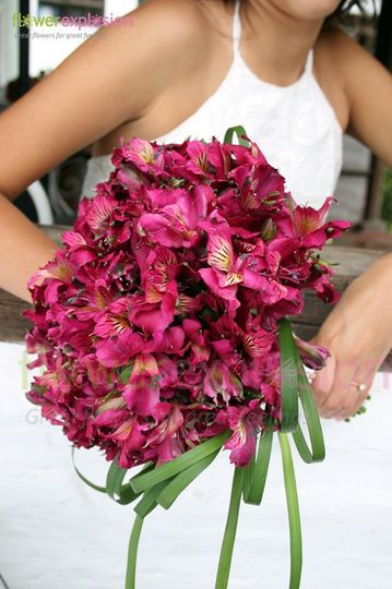 Flower Explosion Flowers San Diego Ca Weddingwire