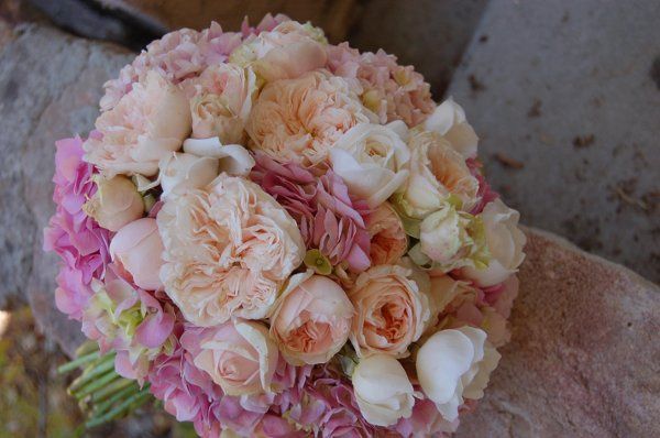 Lavender Country Garden Florals