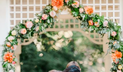 Julia Rose Photography