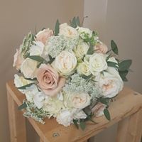 All Island Flowers