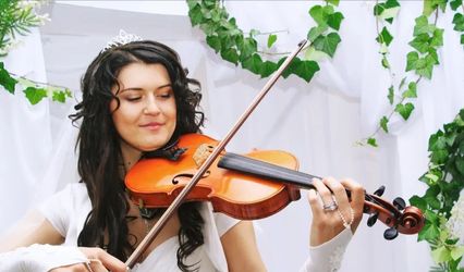 Events Live Music