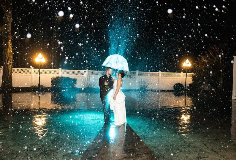 Kim Taylor Photography