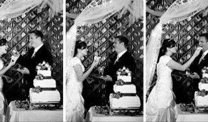 Heather Hamer Photography