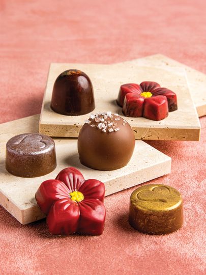 Painted Turtle Chocolatier