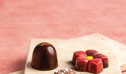 Painted Turtle Chocolatier