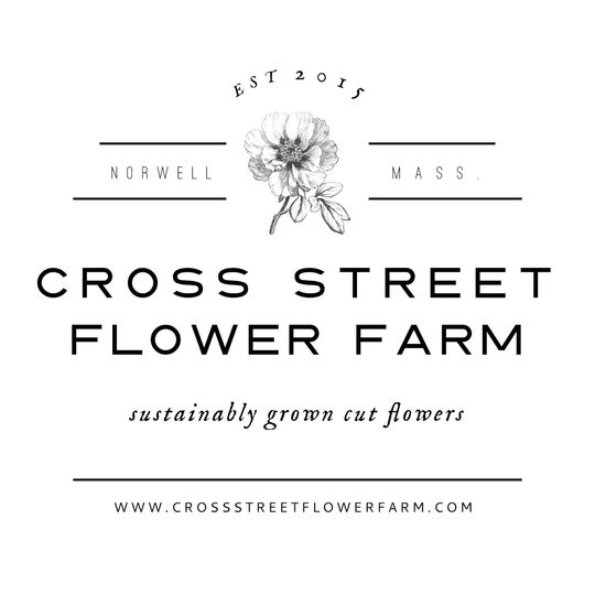 Cross Street Flower Farm Flowers Norwell Ma Weddingwire
