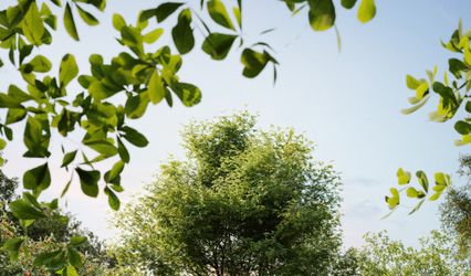 Edwards Mansion by Wedgewood Weddings