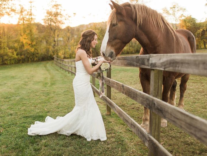 Rachel Red Photography