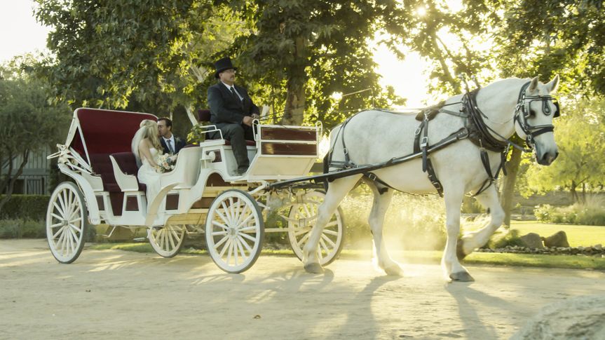 Olympus Carriages