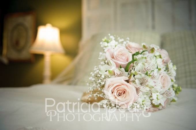 Patricia-jean Photography