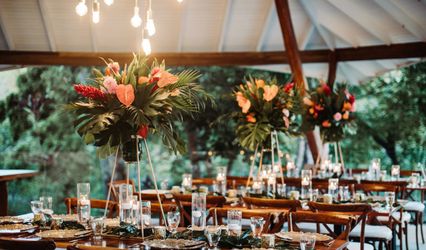 Luna Weddings Costa Rica
