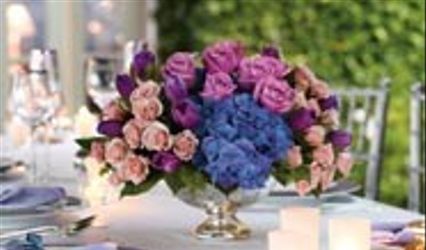 Village Green Florist