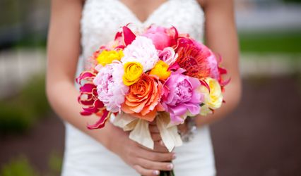 Amy Kate Designs