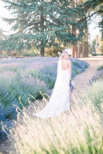 Carrie McGuire Photography