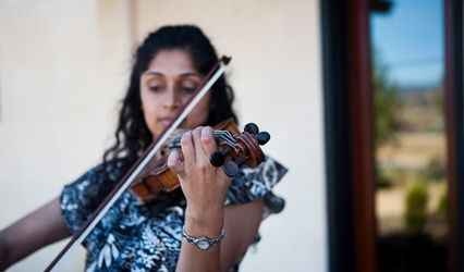 Violinist, Saveri B.