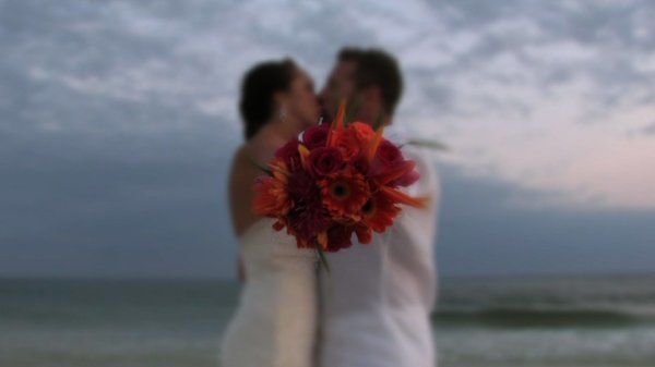 Life in Motion Films