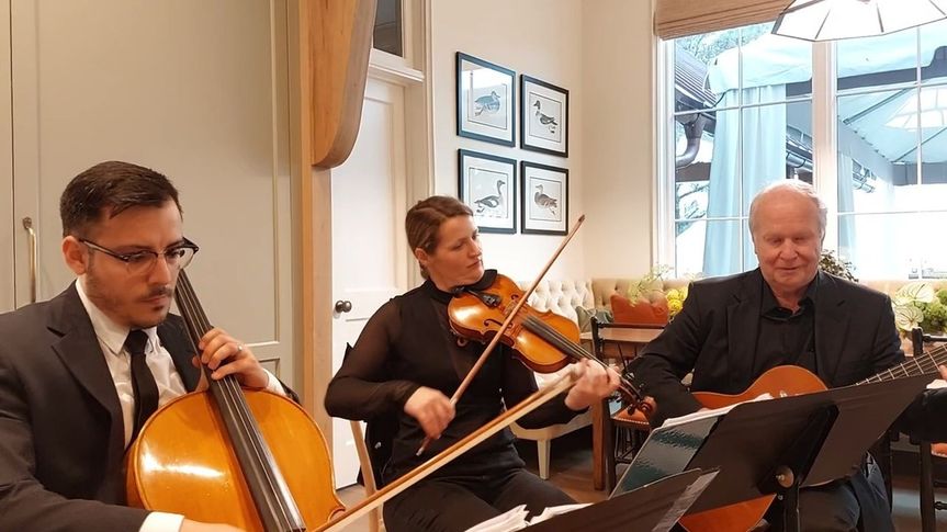 Lowcountry Strings
