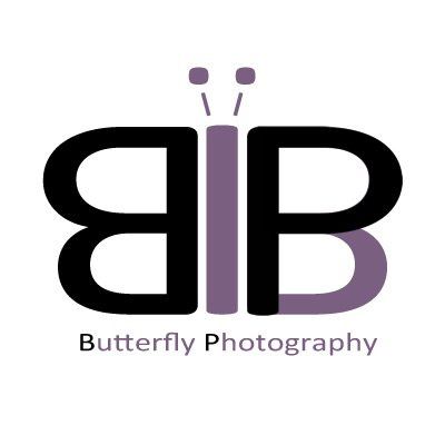 Butterfly Photography