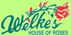 Welke S House Of Roses Flowers Flowers Milwaukee Wi Weddingwire