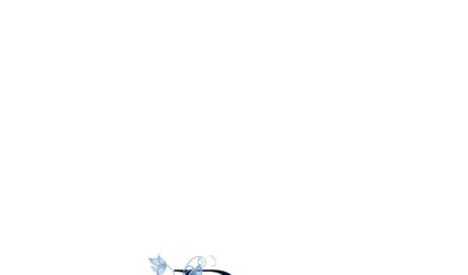 Bluebell flowers LLC