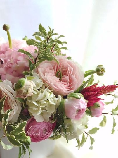 Haus of Blooms