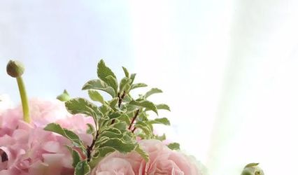 Haus of Blooms