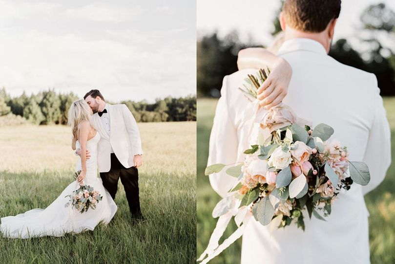 Vine & Light Photography