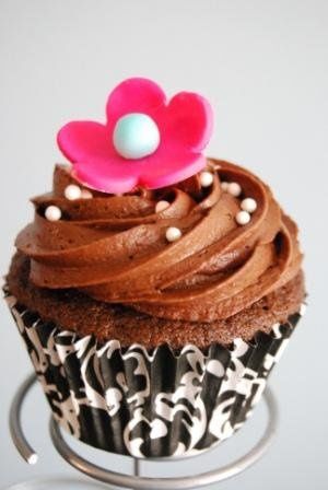 Pretty Little Cupcakes