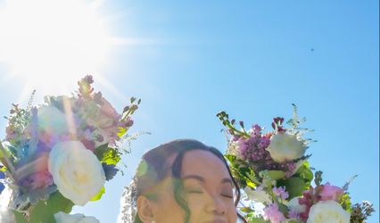 Lisa Bettencourt Photography