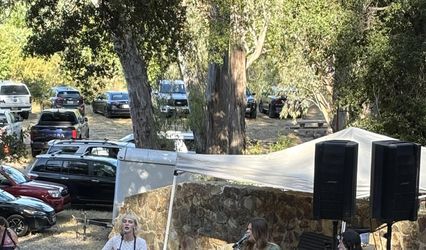 Tree Daddy Sound