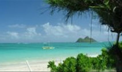 Sea2Shore Travel Agency