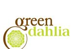 Green Dahlia image