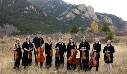 Stillwater String Quartet