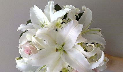 Floral Fantasy Florist