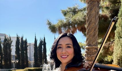 Decorative Violin Phx