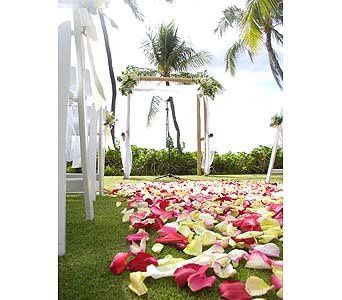 Patty's Floral Designs