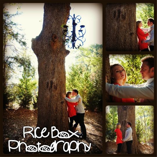 Rice Box Photography