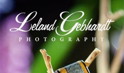 Leland Gebhardt, LLC