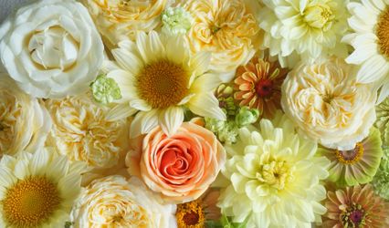 Rising Tide Botanicals