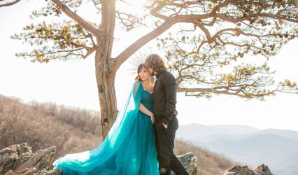 Kelly Phillips Photography