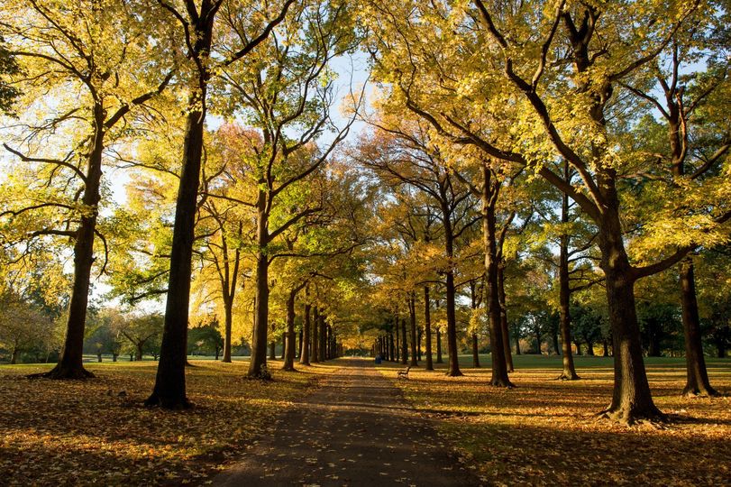 Warinanco Park