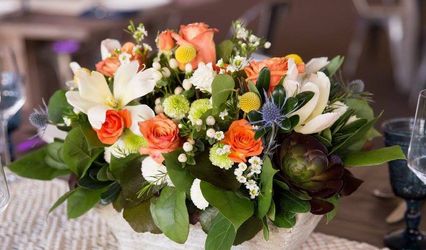 Sugar Stems Florist