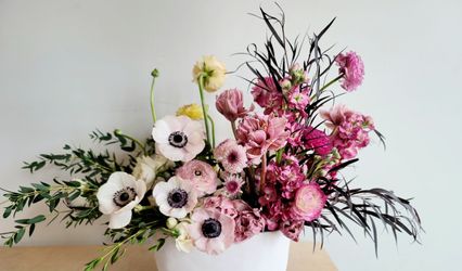 Foliage Flower & Plant Shop