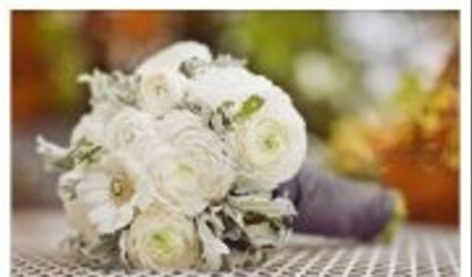 Dalia's Fine Designs