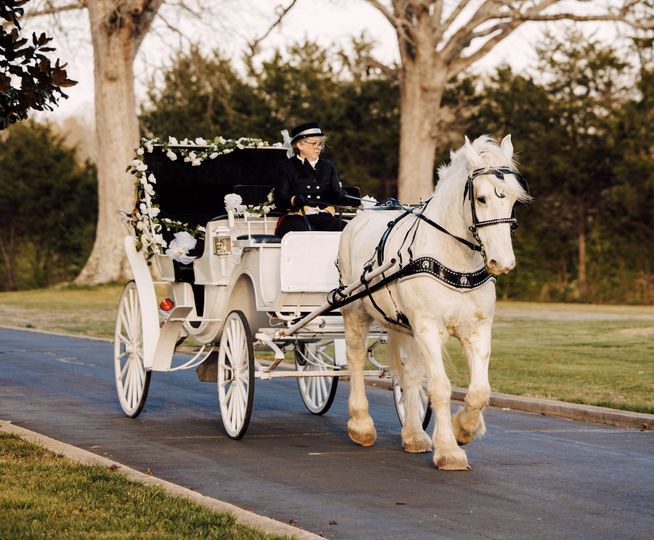 Carolina Carriages