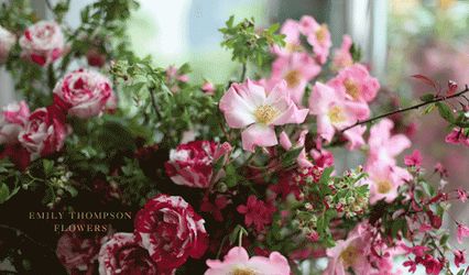 Emily Thompson Flowers
