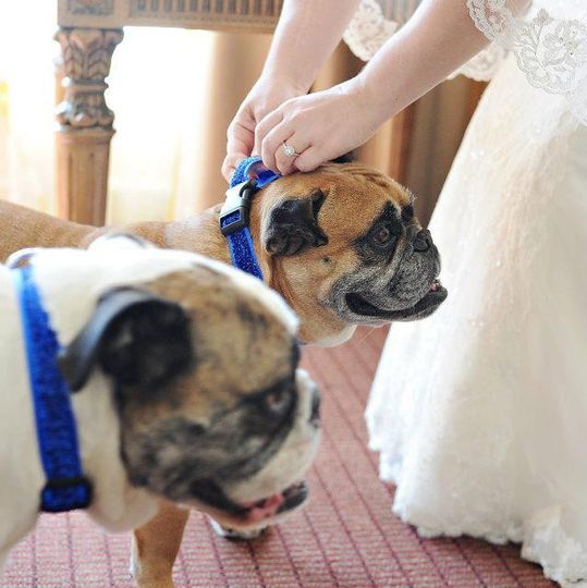 Dream Imagine Studios - Heirloom Weddings™& Special Events