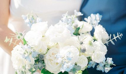Plant Design Events