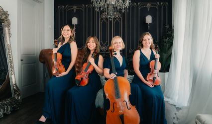 Lavandula Strings
