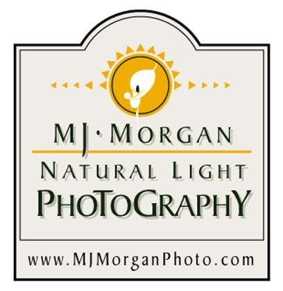 MJ Morgan Natural Light Photography